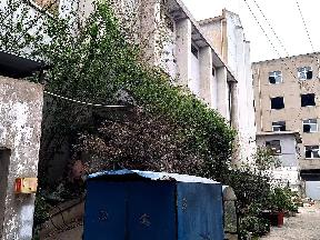 常州市钟楼区邹区镇邹区影剧院部分资产招租公告