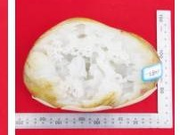 2022G-J-HTY00124-LB03摆件（饰品2025）