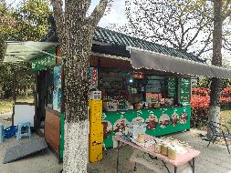 徐州市鼓楼区龟山景区街景售卖车（丰储街冰粉）招租公告(国资监测编号GR2025JS4001681)