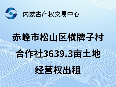 赤峰市松山区哈拉道口镇横牌子村股份经济合作社约3639.3亩土地经营权出租（承租期5年，承租底价18196500.00元/5年）
