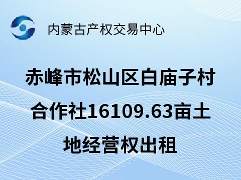 赤峰市松山区安庆镇白庙子村股份经济合作社约16109.63亩土地经营权出租（承包期5年，承包底价28191852.50元/5年）