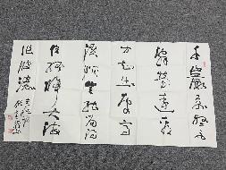 2019第003号A310字（字画2025）