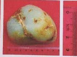 2018G-J-HTY020虹044原料（原料2025）