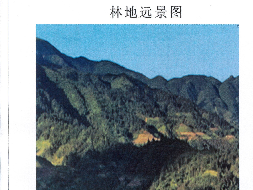 融水苗族自治县汪洞乡池洞村决菜坪屯(平梁老虎地)503.18亩林地经营权及地上附着物招租项目