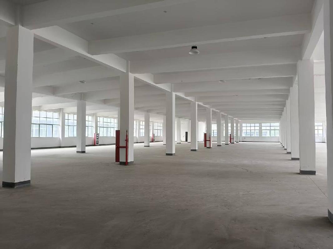 常州市武进区嘉泽镇环镇路东侧嘉发科技园6号楼2楼综合用房招租公告(国资监测编号GR2026JS2000594)