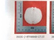 2022G-J-HTY00048-LT137挂件（饰品2025）