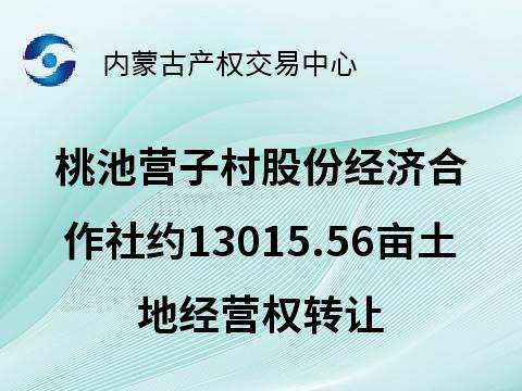 赤峰市松山区哈拉道口镇桃池营子村股份经济合作社约13015.56亩土地经营权出租（承包期5年，承包底价227,772,30.00元/5年）