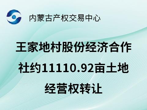 赤峰市松山区哈拉道口镇王家地村股份经济合作社约11110.92亩土地经营权出租（承包期5年，承包底价632,360,70.00元/5年）