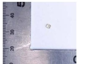 2024G-J-HTY00039-08202312172281-39戒面（饰品2025）