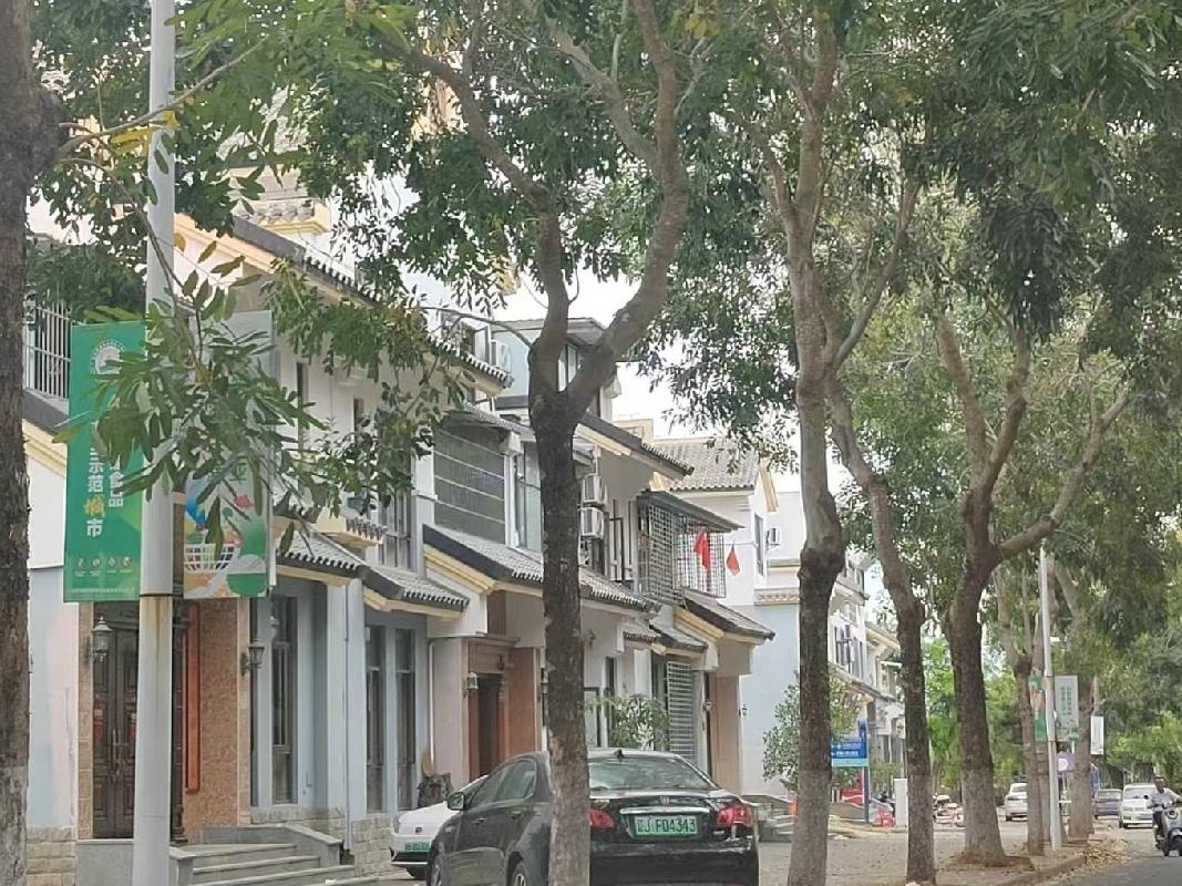 三亚市海棠区藤桥路与6号路之间路段、6号路、2号路路灯线杆道旗广告牌公开招租