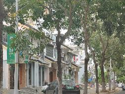 三亚市海棠区藤桥路与6号路之间路段、6号路、2号路路灯线杆道旗广告牌公开招租
