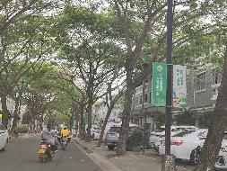 三亚市海棠区藤桥路与6号路之间路段、6号路、2号路路灯线杆道旗广告牌公开招租