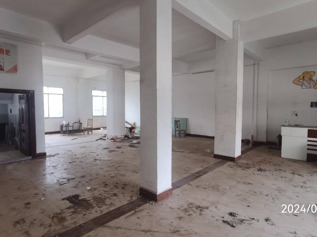 柳州市公园路72号星河大厦2栋9-1等2处房地产分别转让项目交易公告(三次挂牌)