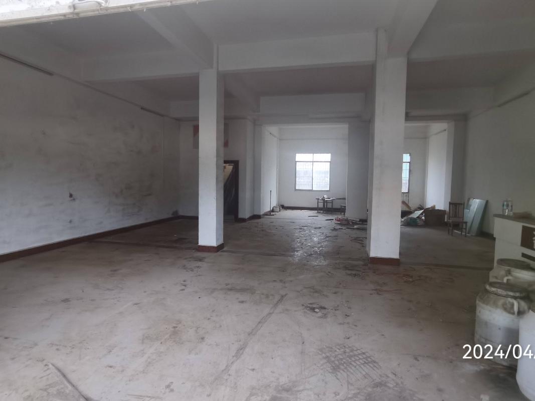 柳州市公园路72号星河大厦2栋9-1等2处房地产分别转让项目交易公告(三次挂牌)