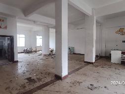 柳州市公园路72号星河大厦2栋9-1等2处房地产分别转让项目交易公告(三次挂牌)