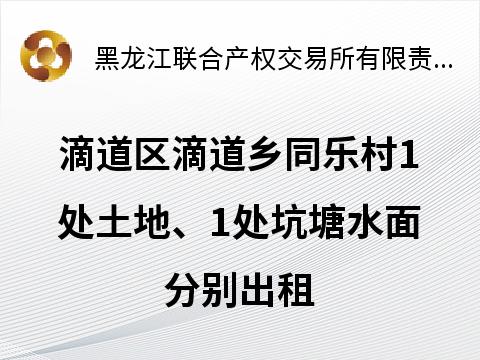 鸡西市新希望城市建设投资有限公司惠民资产运营管理分公司滴道区滴道乡同乐村1处土地、1处坑塘水面分别出租交易公告