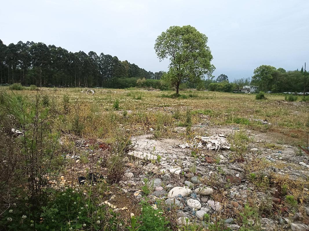 四川省成都市香颂湖项目95亩地块及A区85亩地块整体招商
