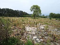 四川省成都市香颂湖项目95亩地块及A区85亩地块整体招商