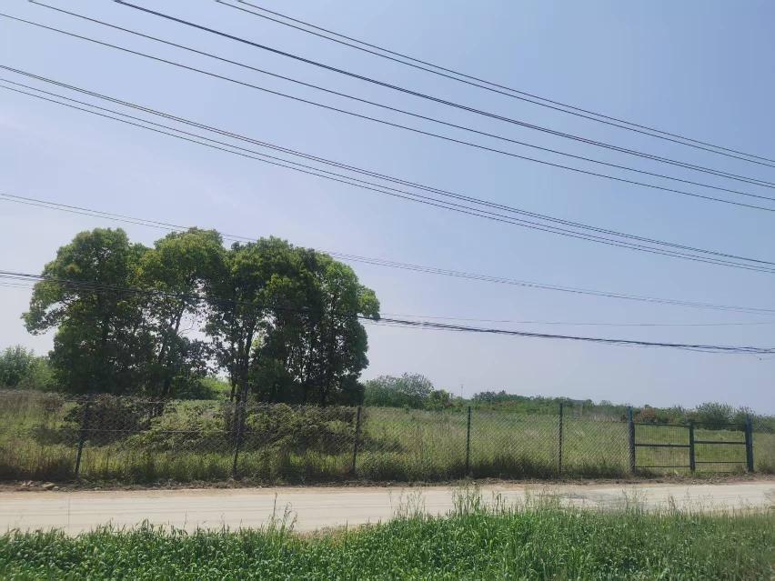 小黄山一期征地东山路沿线招租公告