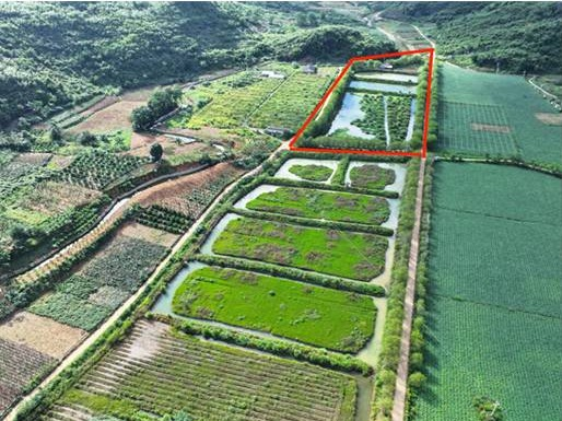 贺州市富川瑶族自治县新华乡盘坝村生态垂钓园及草珊瑚育苗基地招租项目