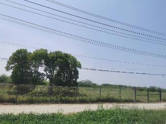 小黄山一期征地东山路沿线招租公告