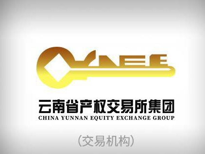 云南金马集团益东实业有限责任公司公务用车1辆(国资监测编号GR2025YN1000221)