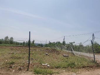 小黄山一期征地东山路沿线招租公告