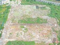 金虹湖畔东侧地块南区招租公告