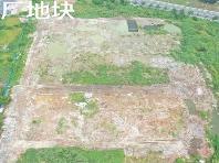 金虹湖畔东侧地块北区招租公告