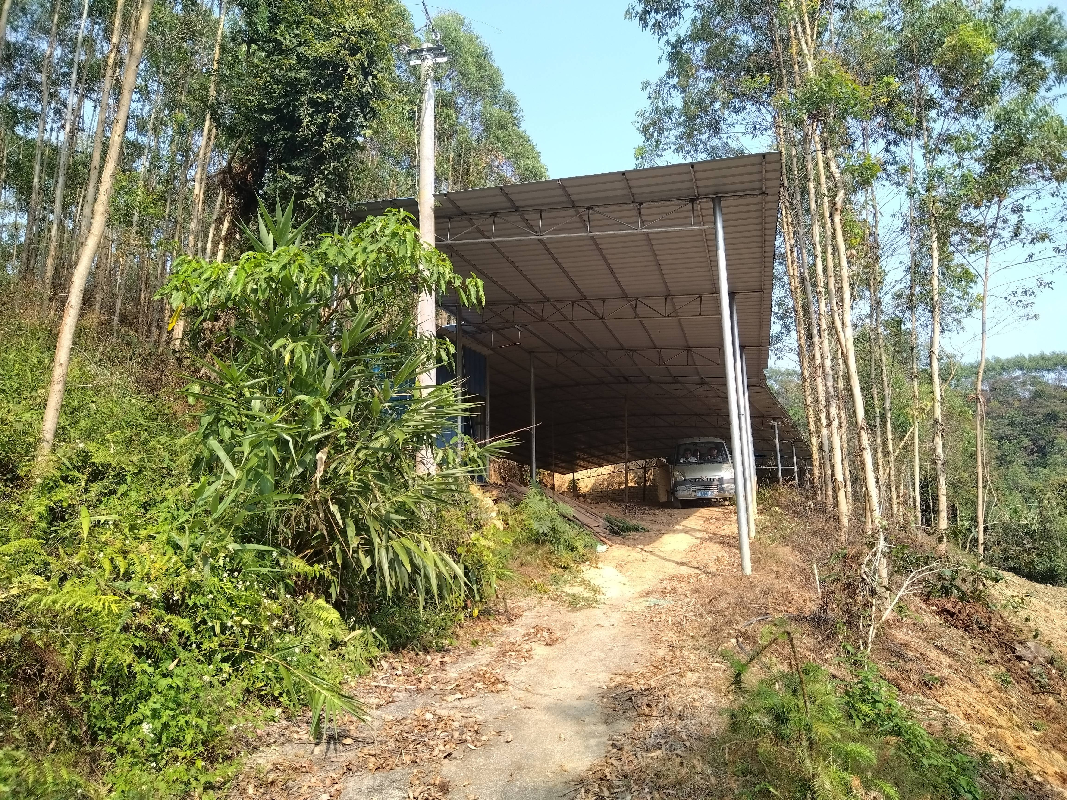 [贵港市]贵港市港北区奇石乡达开村约450㎡养殖基地招租项目