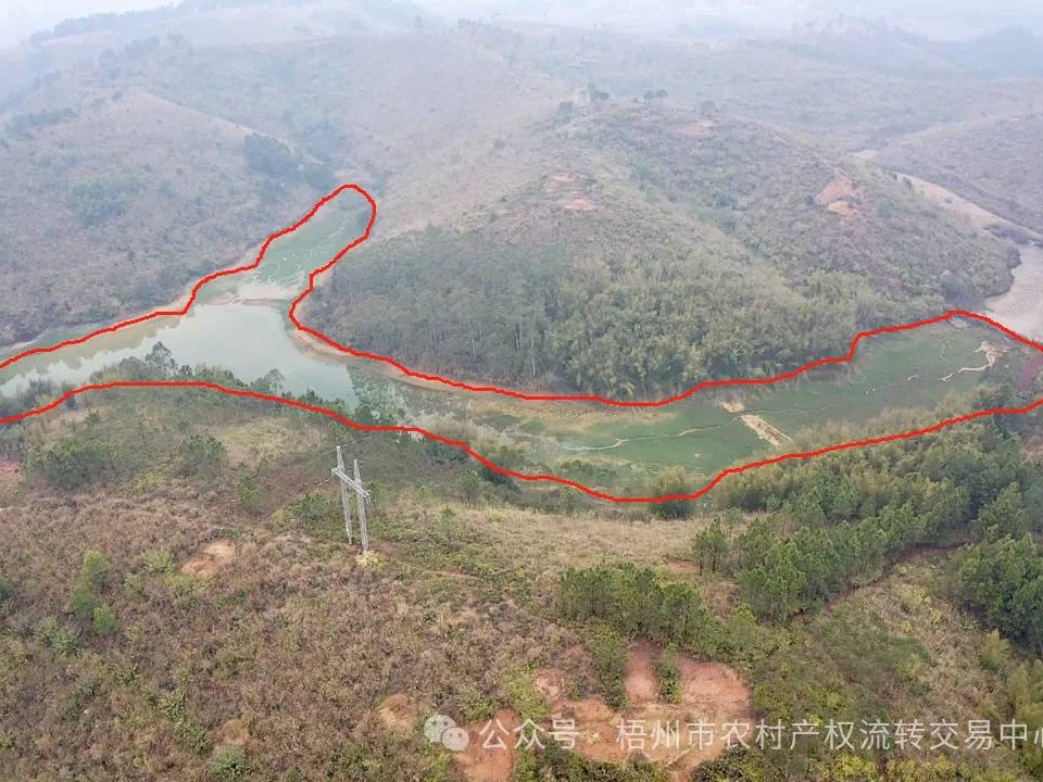 梧州市万秀区夏郢镇德安村三两山塘招租项目