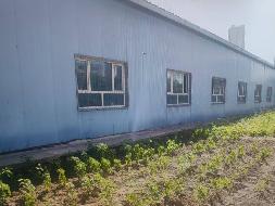 新疆华新博纳商贸有限公司转让7栋报废彩板房