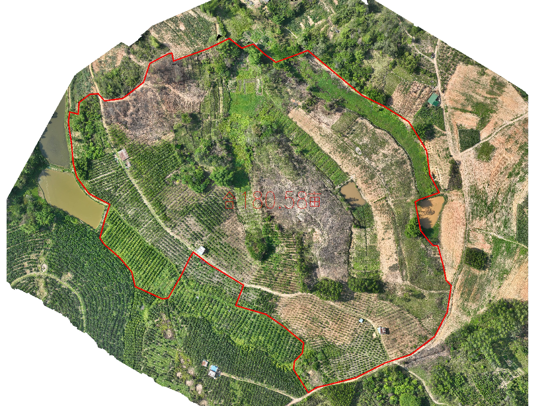 桂平市木乐镇新莲村180.58亩土地（承包）经营权流转项目