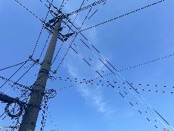 混凝土杆、绝缘铝绞线（岳津路、兴隆街）等一批废旧资产转让公告(国资监测编号GR2025JS2002862)