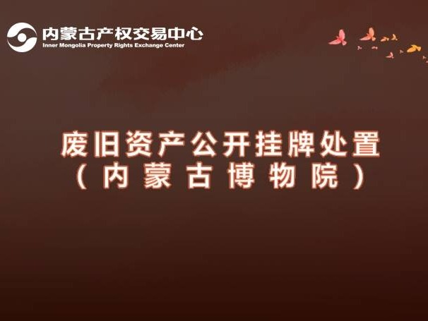 【文化单位资产处置】两部电梯、 LED显示屏、印刷设备等8项废旧资产整体转让（内蒙古博物院）(国资监测编号GR2025NM1007449)