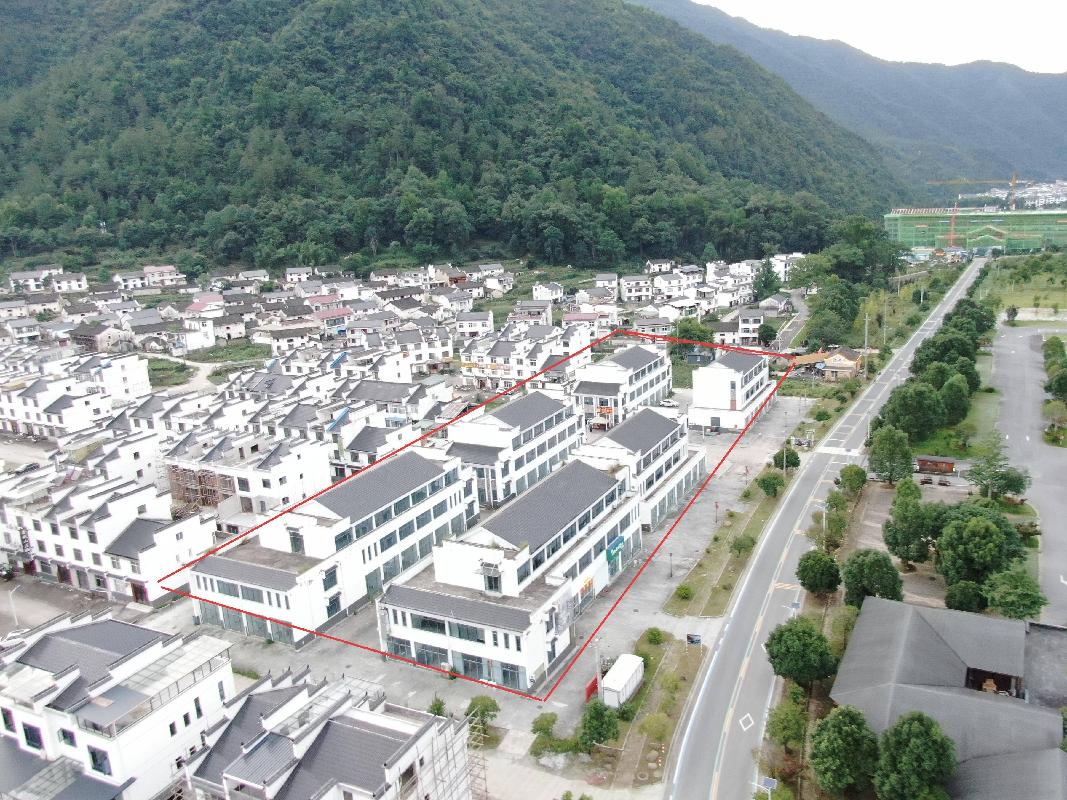 石台县大演乡新农村牯牛降新景区商业街共6栋商业房产及土地使用权整体转让公告(国资监测编号GR2025AH2001418)