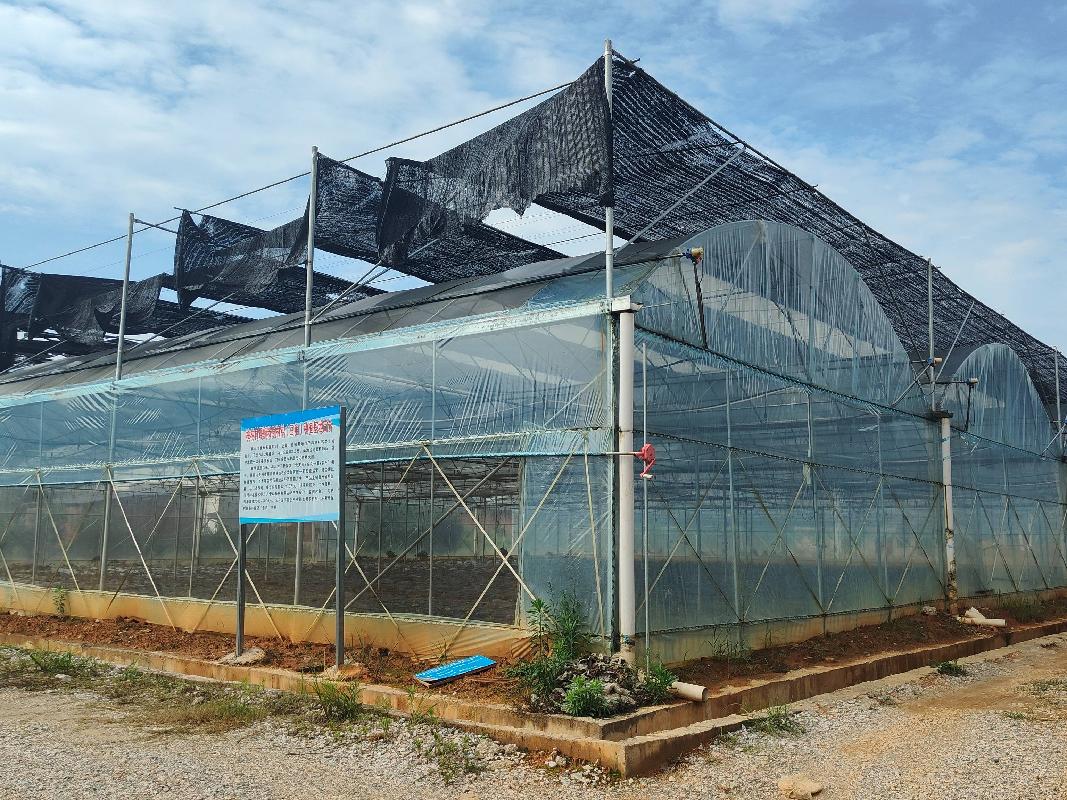 柳州市三江侗族自治县梅林乡梅林村螺蛳粉原材料（豆角）基地出租项目