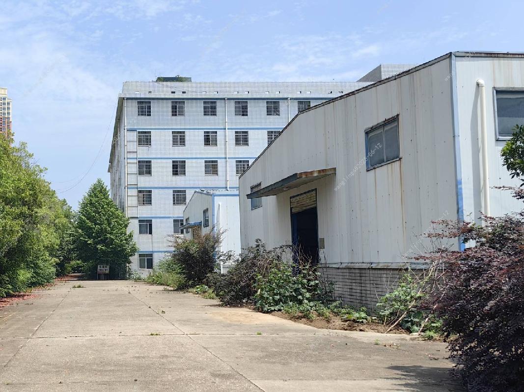 湖南盛节节高食品股份有限公司闲置资产