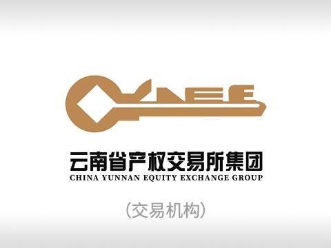 云南天行健经贸有限公司单户受托资产债权