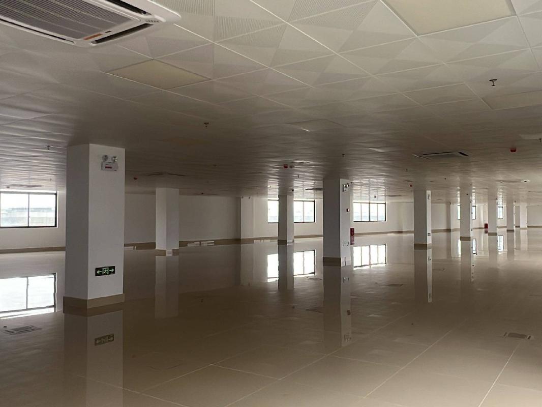 南宁市江南区金凯路115号3个厂房、4个配套管理区域分别招租项目