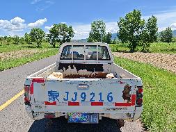 （蒙JJ9216）福田牌BJ1027V2MD6-XA轻型普通货车2.771L（内蒙古乌兰察布市盐业有限公司）(国资监测编号GR2025NM1004456-3)