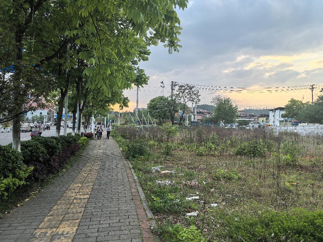 郴州市北湖区工业大道8254.5㎡土地(国资监测编号GR2025HN1001118)
