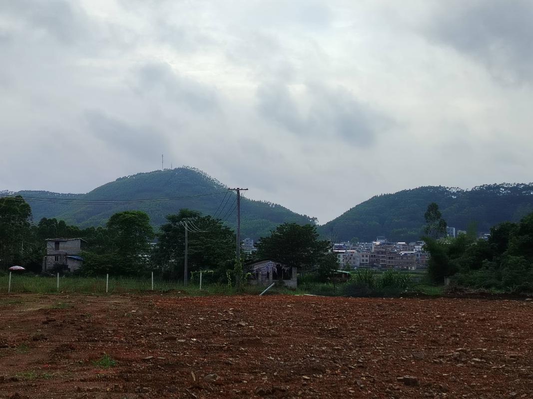 [贵港市]贵港市覃塘区东龙镇长岭村约20亩土地经营权流转项目