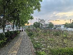 郴州市北湖区工业大道8254.5㎡土地(国资监测编号GR2025HN1001118)