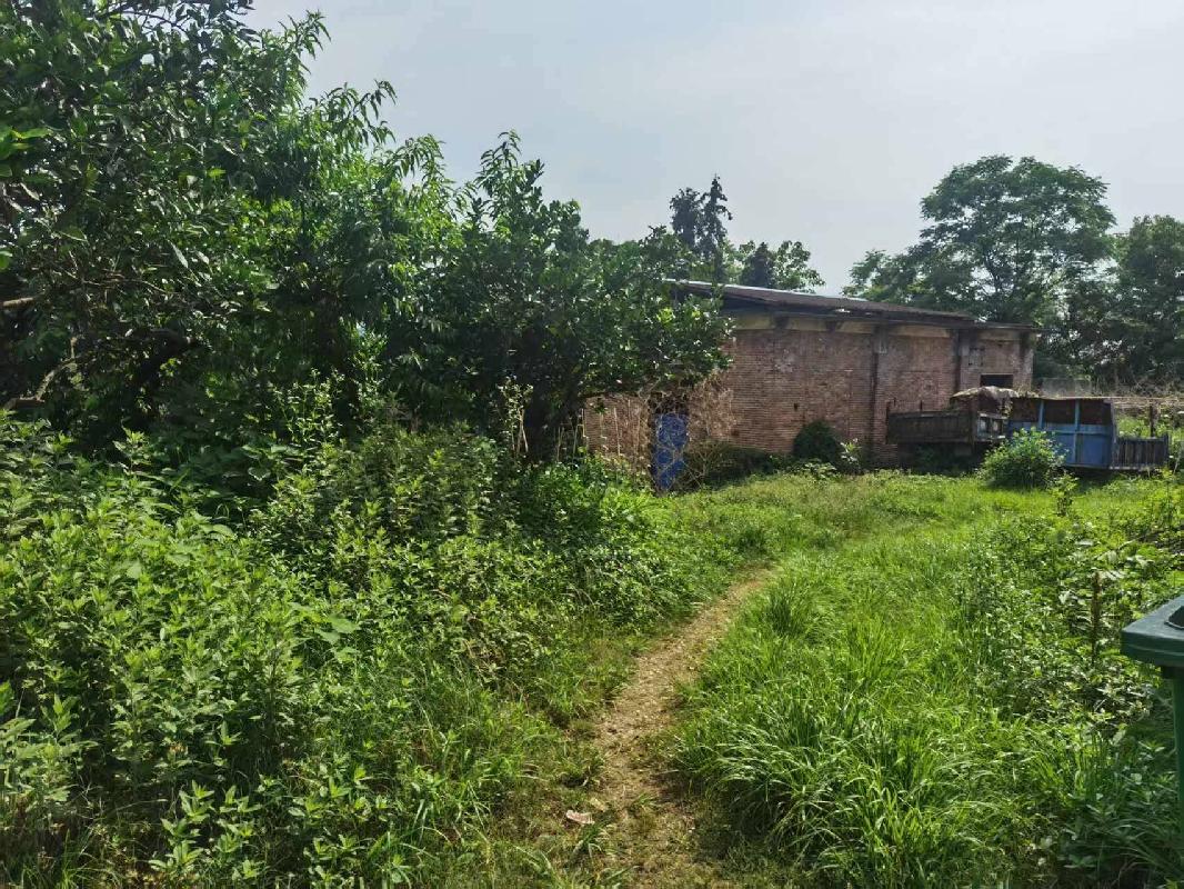 [娄底市]中石化娄底分公司位于娄底市涟源市毛坪乡权证编号涟房权证2003字第02700675号的房产(三次挂牌)