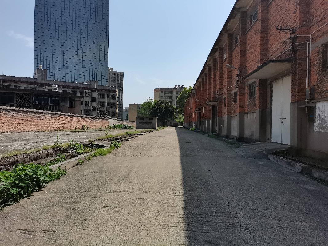 郴州卷烟厂万花冲烟叶仓库及配套设施设备（仓库建筑面积10128.1㎡，配套设施设备10项）(国资监测编号GR2026HN1003064)