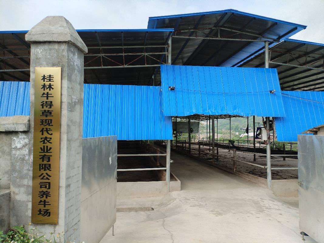 桂林市临桂区四塘镇大约村251.5亩种养基地合作方遴选项目(三次挂牌)