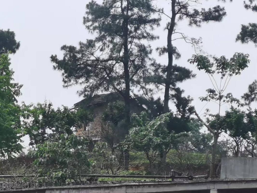 [娄底市]中石化娄底分公司位于娄底市涟源市毛坪乡权证编号涟房权证2003字第02700677号的房产(三次挂牌)