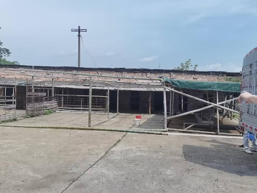 [娄底市]中石化娄底分公司位于娄底市涟源市毛坪乡权证编号涟房权证 2003 字第 02700683 号的房产(三次挂牌)