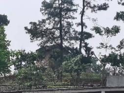 中石化娄底分公司位于娄底市涟源市毛坪乡权证编号涟房权证2003字第02700677号的房产(三次挂牌)(国资监测编号GR2025HN1001146-3)